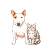 バロンとアルフ